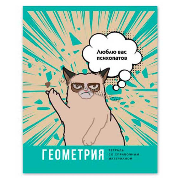 Тетрадь предм. 40л. BG "Веселье начинается-Геометрия" 9174 со справ. (клетка)