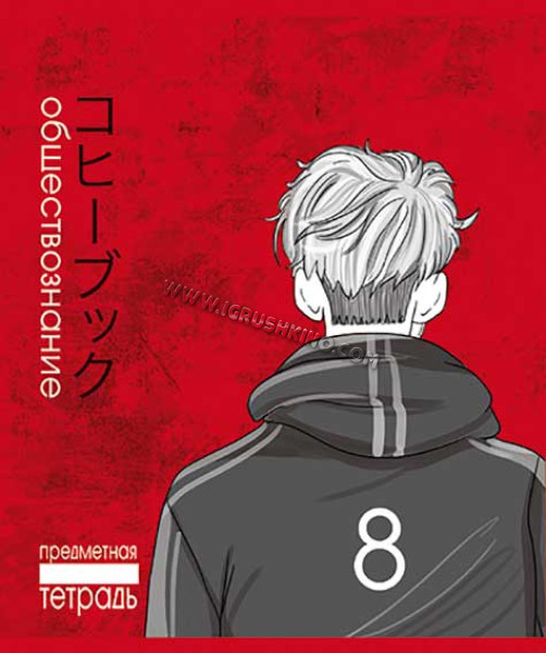Тетрадь предм. 48л. ПЗБФ "Аниме-Обществознание" 026349 выб.уф-твин (клетка)